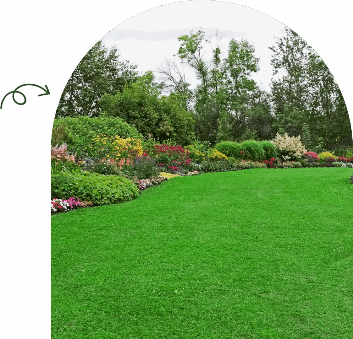A vibrant garden with a lush green lawn and colorful flower beds.